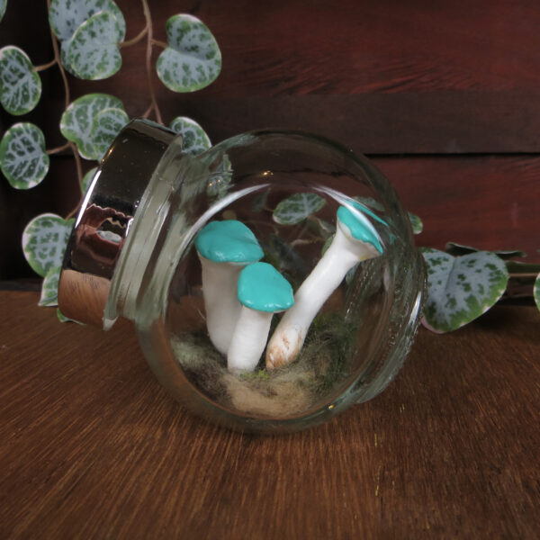 Spice Jar Terrariums - The Murmuring Mystic