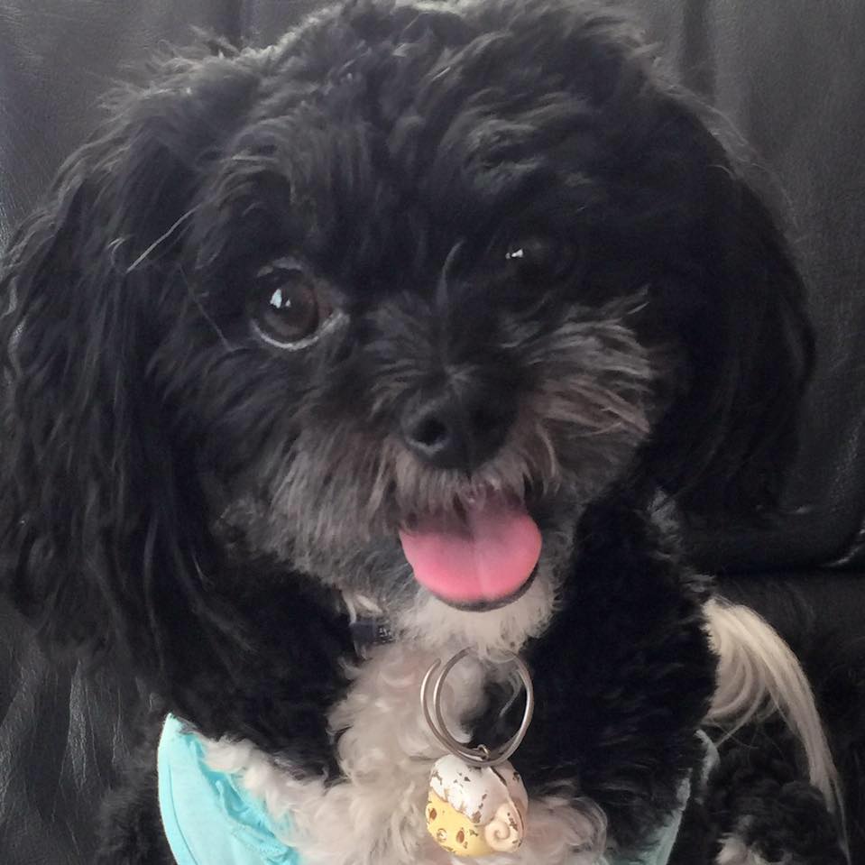 468740353_10162299102566460_6565959339100821392_n