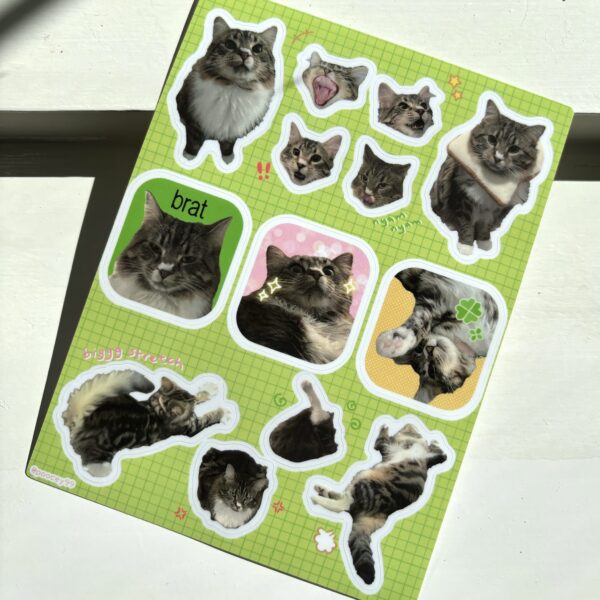 my cat ash sticker sheet by poocey