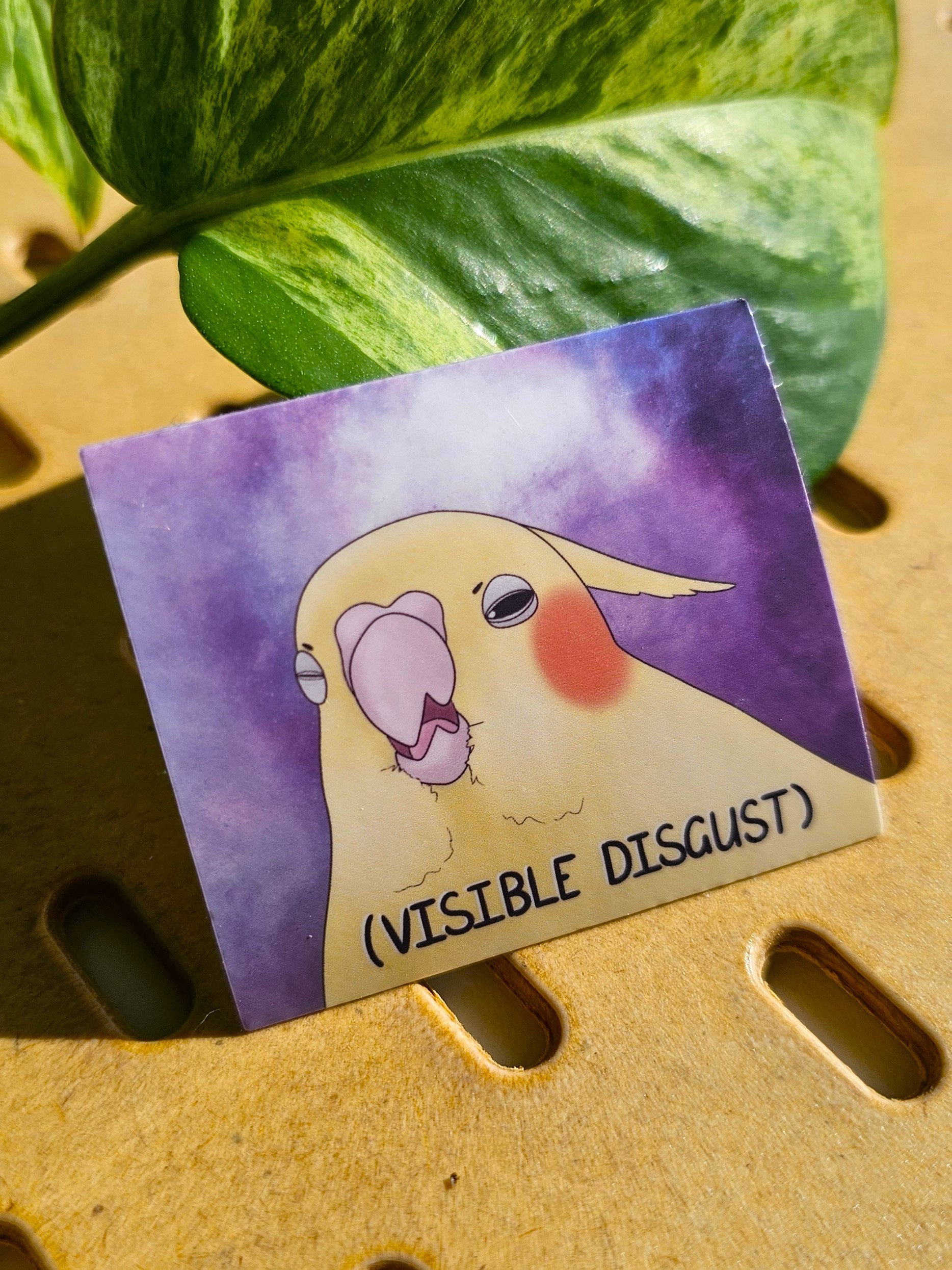 Visible Disgust Cockatiel Waterproof Sticker by GeeZeePeasy Visible Disgust Cockatiel Waterproof Sticker by GeeZeePeasy