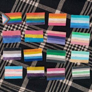 a series of shrink plastic pride pins on a black and white tartan background. the flags in order are progress pride